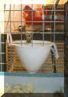 dripbuster_funnel.jpg (86492 bytes)